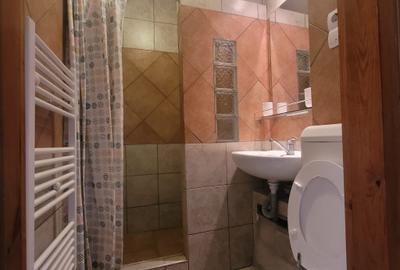 Inchiriere apartament 2 camere Astra - strada Neptun - 9