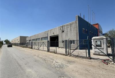 Vanzare depozit/hala/spatiu industrial Domnesti - Clinceni - Bragadiru - Centura - 6