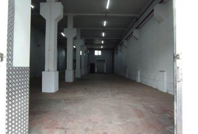 Spațiu industrial, 250 mp în Iancului