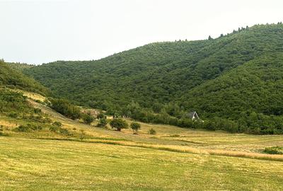 Teren agricol extravilan de 3408 mp, în Gura Râului