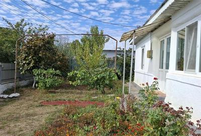 Casa Panciu, 870 mp teren curti constructii - 3