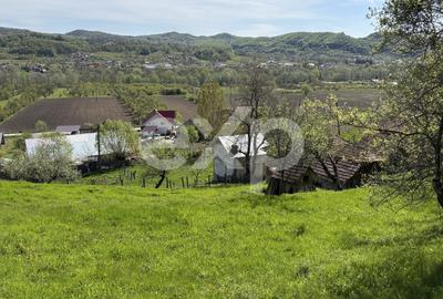 Teren Construcții intravilan de 14613 mp, în Bârseștii de Sus