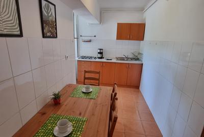 UNIRII BULEVARD ZONA LUCIAN BLAGA AP 2 CAM DECOMANDAT, SPATIOS 65MP - 8