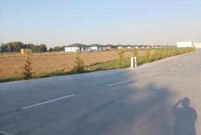 TEREN  SPRE VÂNZARE –DIMIENI 4.846 MP  IDEAL PENTRU DEZVOLTARE REZIDENTIALA - 5
