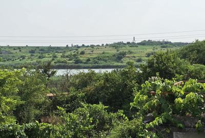 Casă S+P+M | Dârvari, Tămădău Mare | Teren 3000 mp - 4