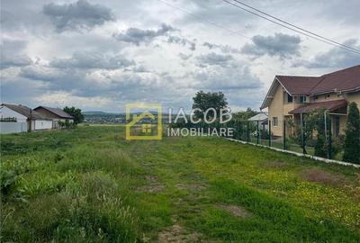 Teren Construcții intravilan de 3000 mp, în Lilieci