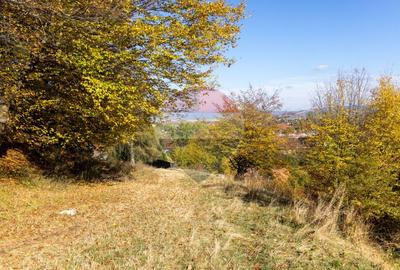 Teren 2,900mp Brasov / Strada Ciresului - 19