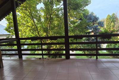 Vânzare Proprietate deosebita cu piscina, Gura Ocnitei Dambovita - 12