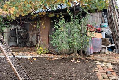 Voluntari Vanzare Case batranesti - 18