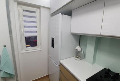 Piata Victoriei, Titulescu, Dr. Iacob Felix garsoniera cocheta, zona linistita - 6