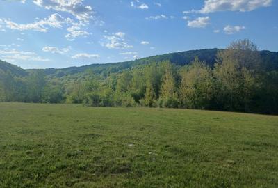 Teren extravilan Bradu - zona cu panorama superba - 4