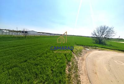 Teren intravilan 13.602 mp | Dragomiresti Vale | Sos. de Centura - 3