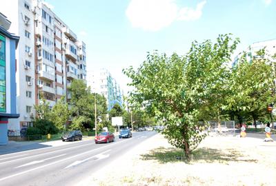 CALEA 13 SEPTEMBRIE, APARTAMENT IN BLOC 1992, LA PARTER! - 15