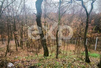 Babana, Slătioarele | Casă modernă, gata de mutare, la 12 km de Pitești - 15