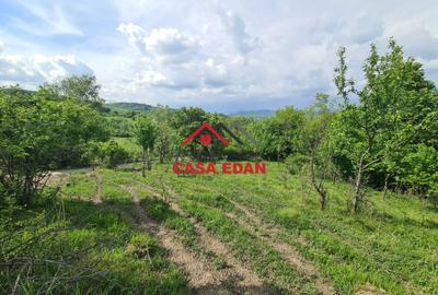 Teren intravilan in Poiana Campina--1954mp--23.500e - 2