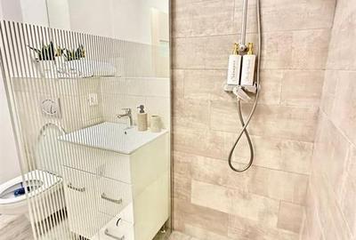 Apartament cu o camera zona Centru vechi - 4