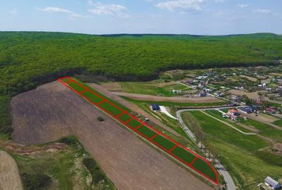 Teren Construcții intravilan de 500 mp, în Periferie