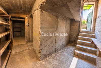 Casă de vânzare 1 Iunie Satu Mare - 4
