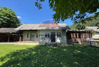 De vanzare | Teren 5412mp , Scoala Sabasa | Borca | Neamt - 2