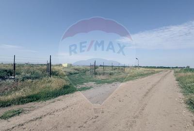 Teren agricol 16.750mp în Cârcea, imprejmuit, cultura capsuni, solarii - 3