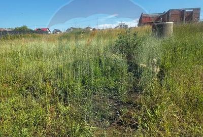 Casă 4 camere | Scheia, Suceava | Semifinisat - 27