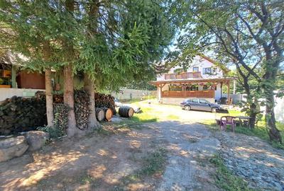 De inchiriat Casa moderna 160 mp teren 1000 mp Tocile Sadu - 9