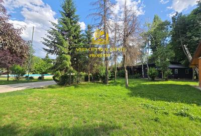 Spatiu comercial Parcul Herastrau-Restaurant Cafeanea-Vanzare-Asociere - 14