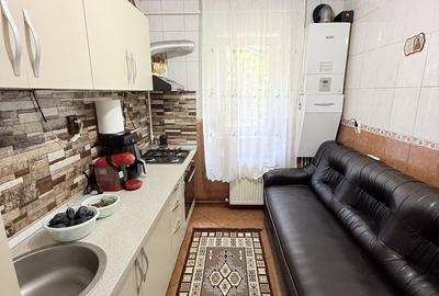 Ap 2 camere 55 mp - mobilat - zona centrala - Str Schelelor - 10