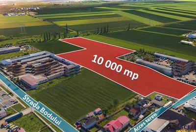 Teren agricol intravilan de 10000 mp, în Hălchiu