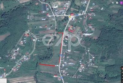 Teren Construcții intravilan de 21000 mp, în Bogați