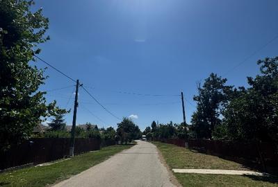 Teren  intravilan, ca un colț de Rai  lângă Snagov - 8