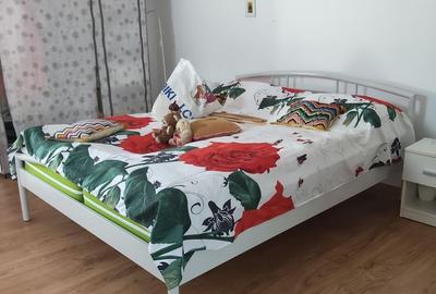 Casa cocheta cu livada si teren 1.200 mp-aproape de Pitesti - 14