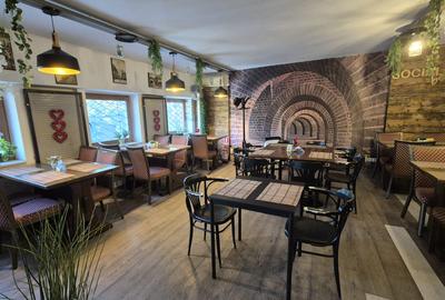 Restaurant, Delfinului, parc Ostrov - 15