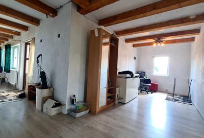 CASA DE VANZARE PODUL OLTULUI CU ACCES PRIVAT - 12