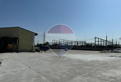 Spațiu industrial hala curte generoasa ideal activitati reciclare - 4