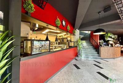 Restaurant + Terasa de inchiriat Sector 3 / Bucuresti - 8