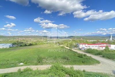 Teren intravilan 12631 mp , front stradal 151m /Sibiu/ Parc Ind. Selimbar - 7