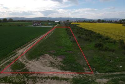 Teren intravilan de 4240 mp, în Sud