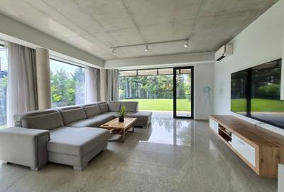 Inchiriere vila moderna Iancu Nicolae - 4