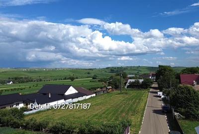 Teren Intravilan 1699 mp - Moara - Suceava De vanzare - 5