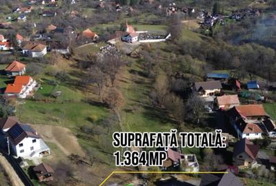 Teren agricol intravilan de 1364 mp, în Sohodol