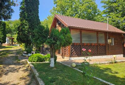 Oferta vanzare casa si teren 1697 mp in Stefanesti, 97000 EURO - 20