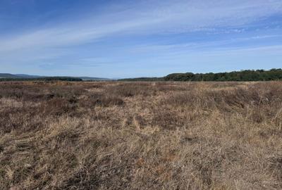 Teren de vanzare in Harman 4,4 Hectare - 13