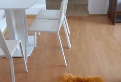 APARTAMENT 2 CAMERE PIATA ROMANA LINGA METROU - 23