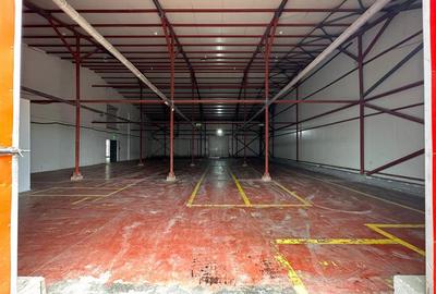 Spatiu comercial sos. Pacurari Iasi, langa Mall Moldova, 1310mp - 10
