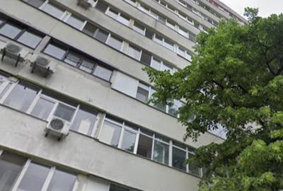 Lacul Tei stradal vav Facultatea de Constructii,langa Parcul Tei - 2