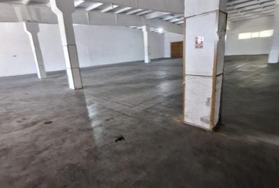 Spațiu industrial, de 860.00 mp, în Zona Industrială