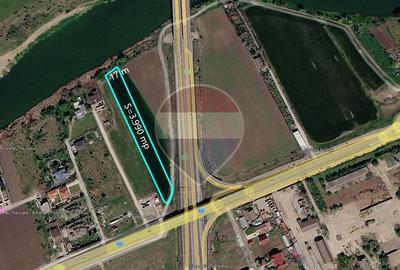 Teren intravilan 3,990 mp Moara Vlasiei - 1