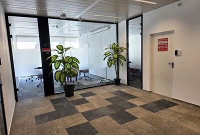 One Herastrau Office (Office 1) - 5
