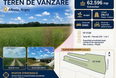 Teren agricol extravilan de 62600 mp, în Albota